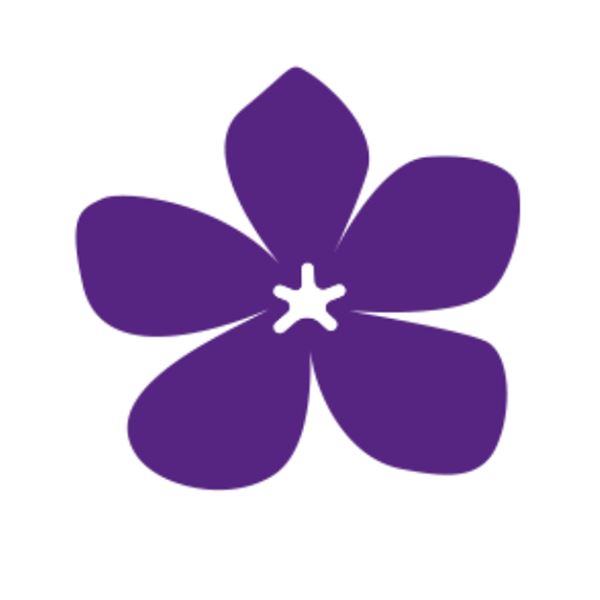 Lymphoma Action Periwinkle - sent on 6th July 2020